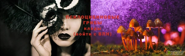a pvp Абдулино