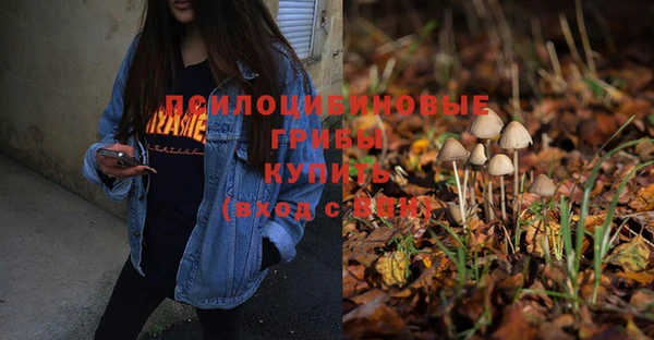 a pvp Абдулино