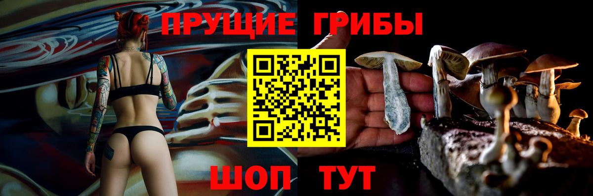 Псилоцибиновые грибы прущие грибы  Вход с VPN  Галлюциногенные грибы мухоморы  Знаменск 